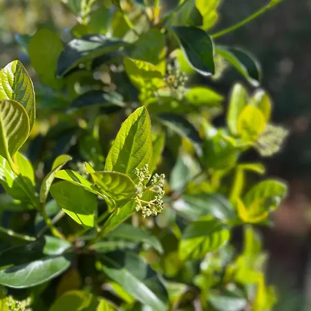 Spacious Seaside With Garden & Sea-view Appartement *