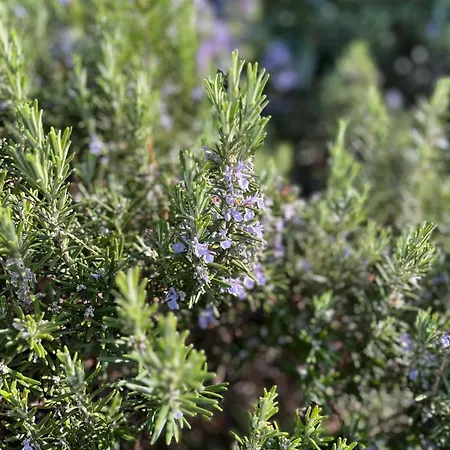 Spacious Seaside With Garden & Sea-view *